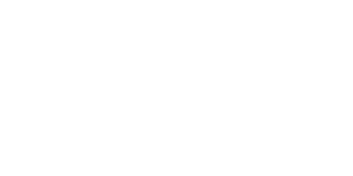 wsp-logo